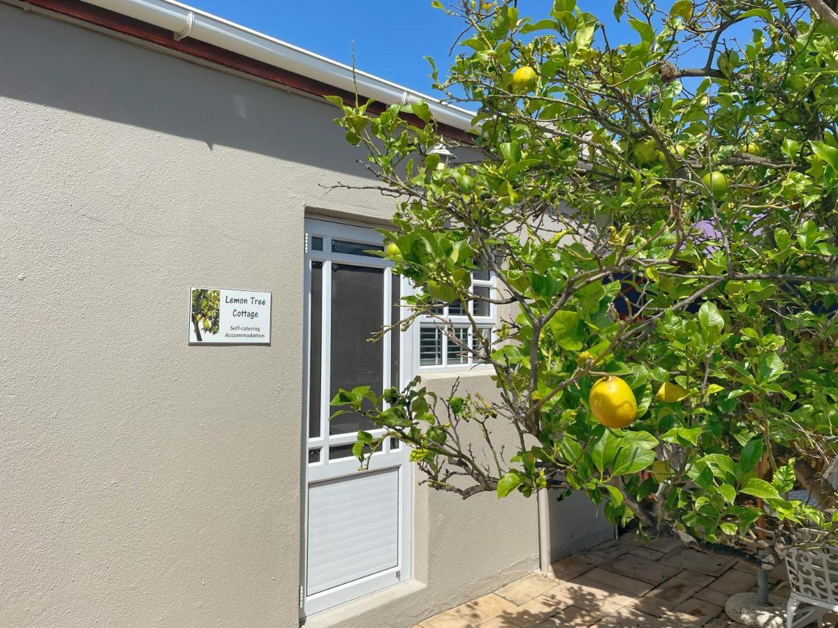 Lemon Tree Cottage Edgemead Luaran gambar